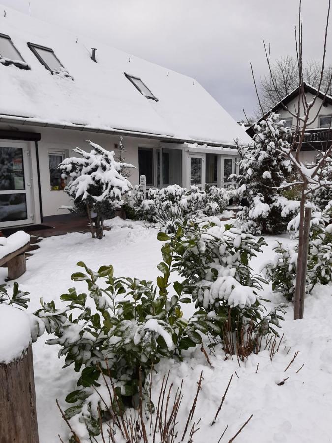Pension Mark Hoyerswerda Buitenkant foto