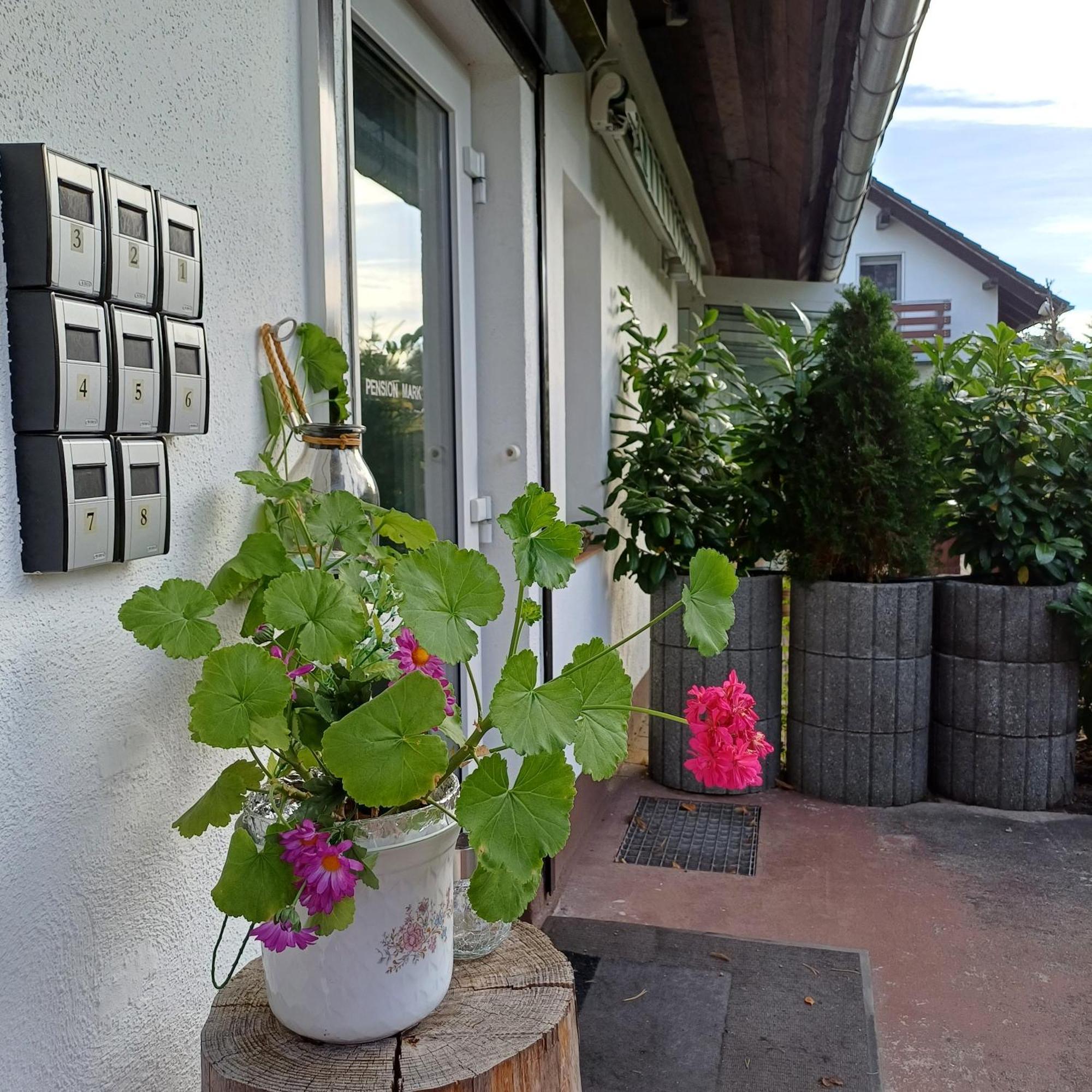Pension Mark Hoyerswerda Buitenkant foto