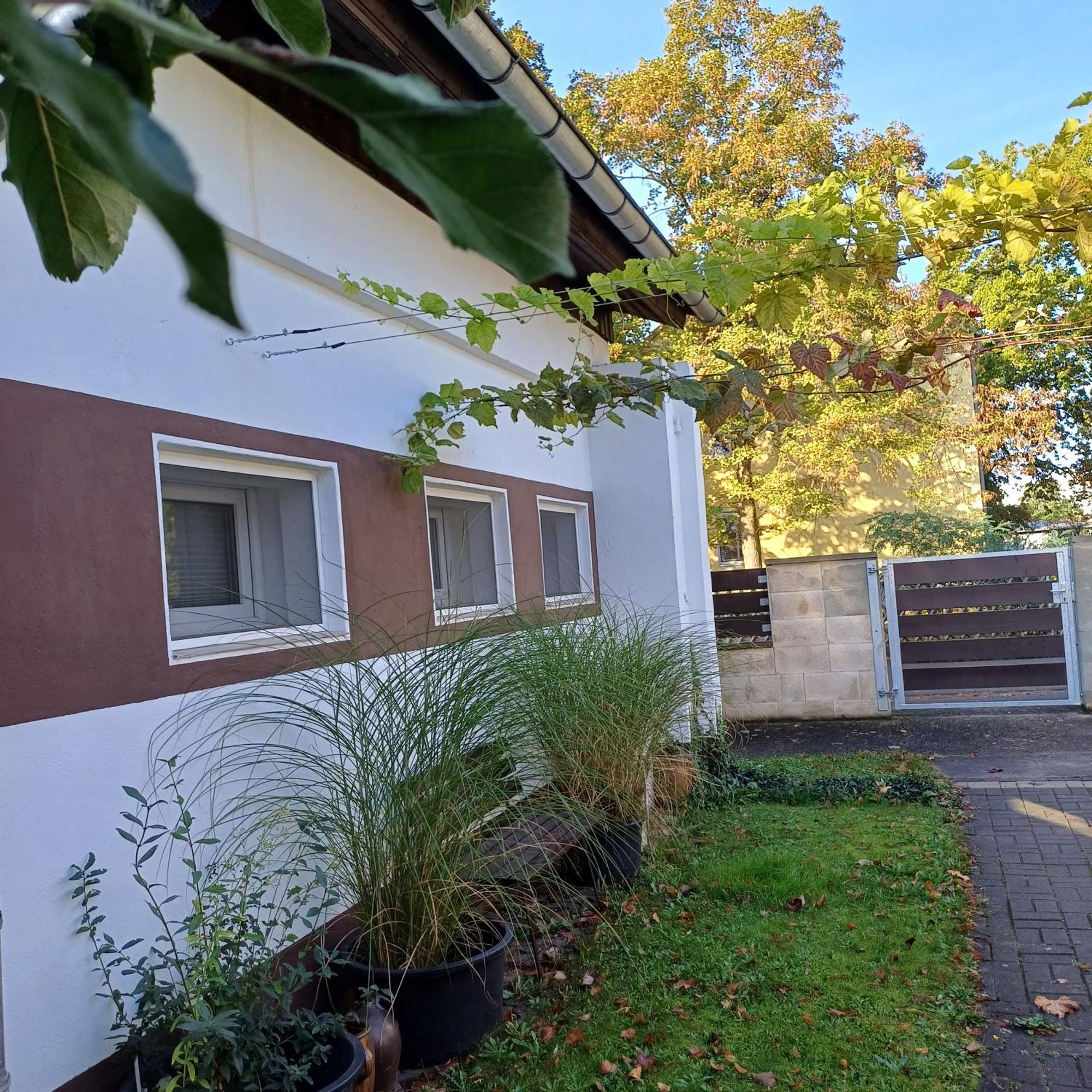 Pension Mark Hoyerswerda Buitenkant foto