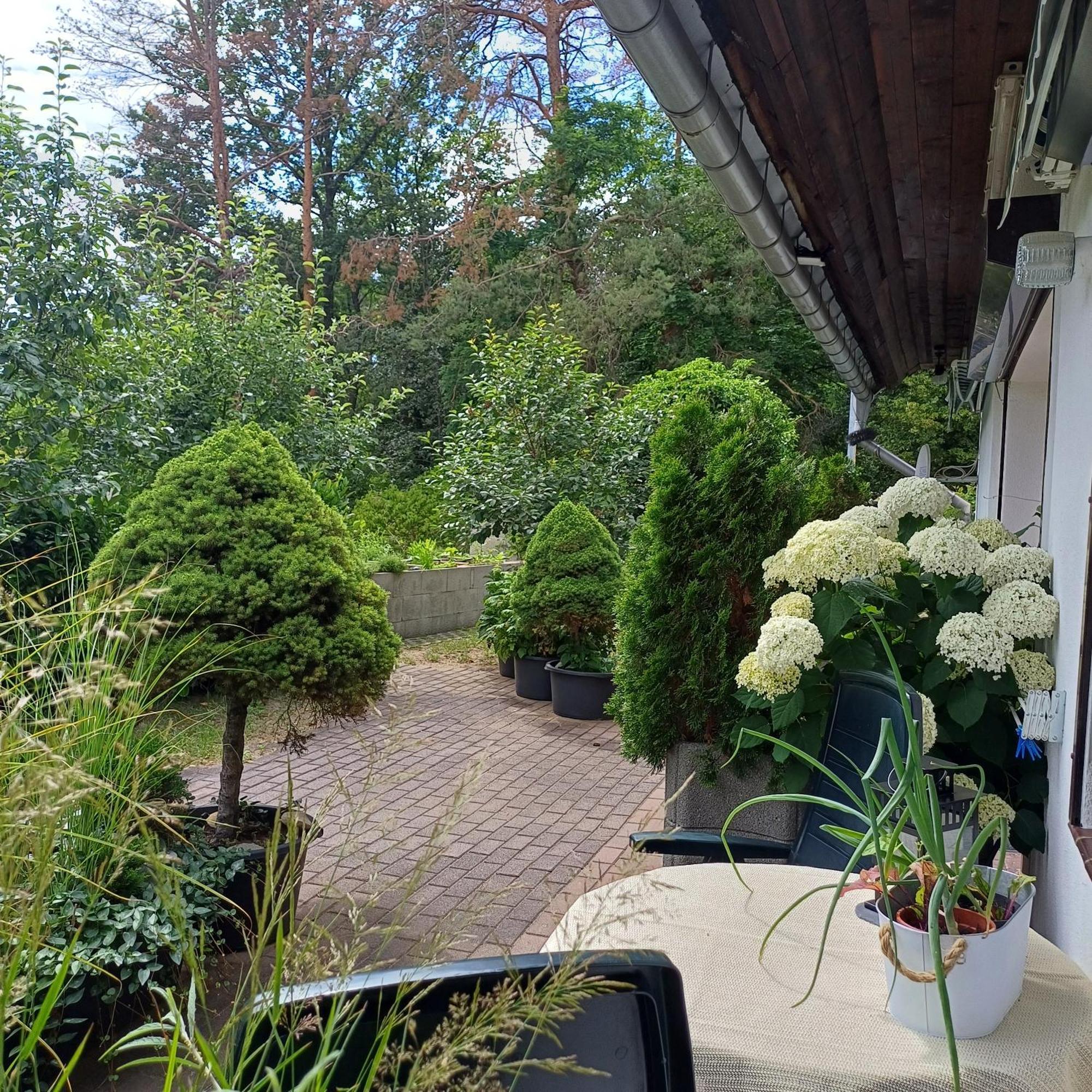 Pension Mark Hoyerswerda Buitenkant foto